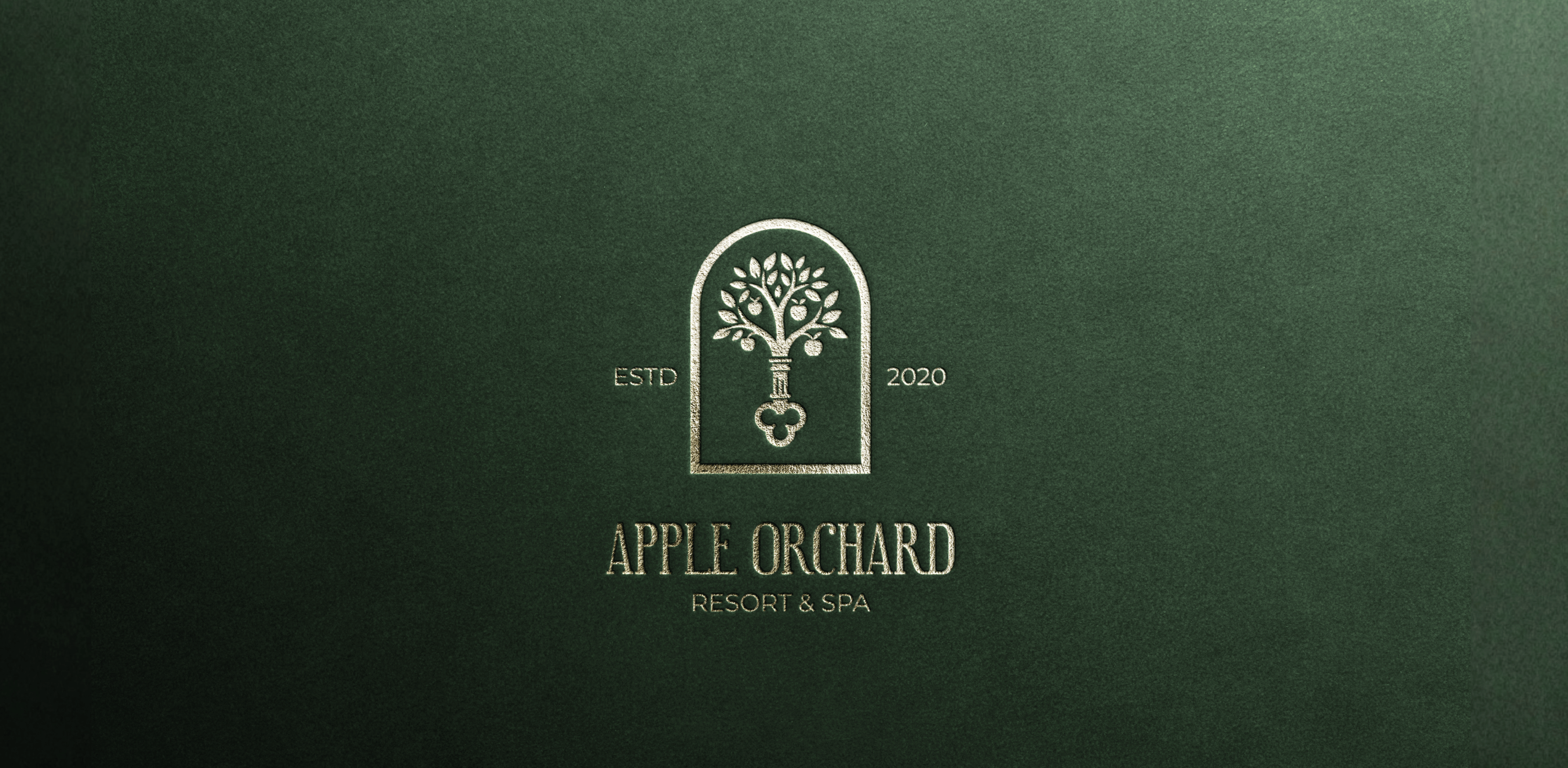 Visual Identity