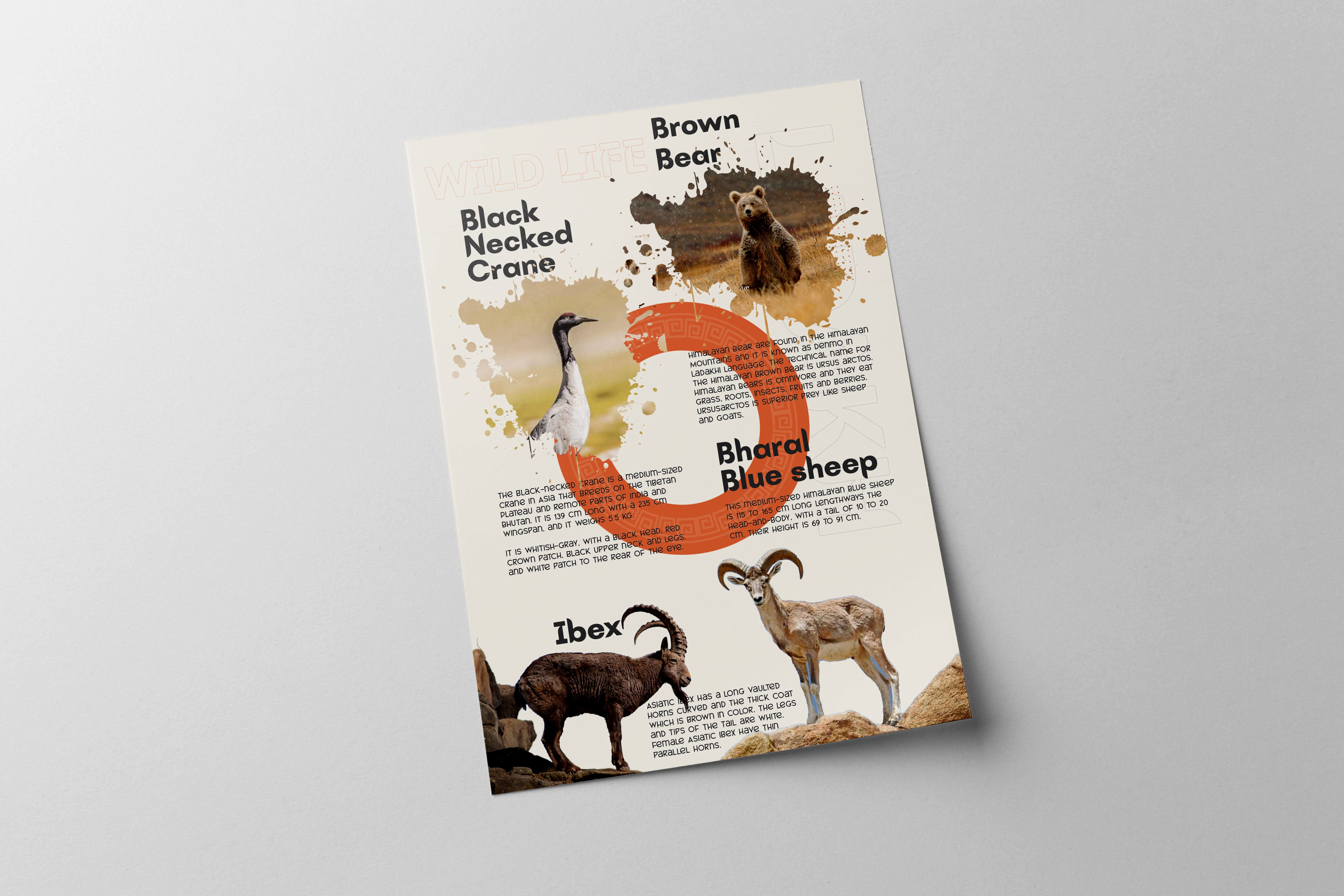 Print Collaterals For Ladakh Tourism